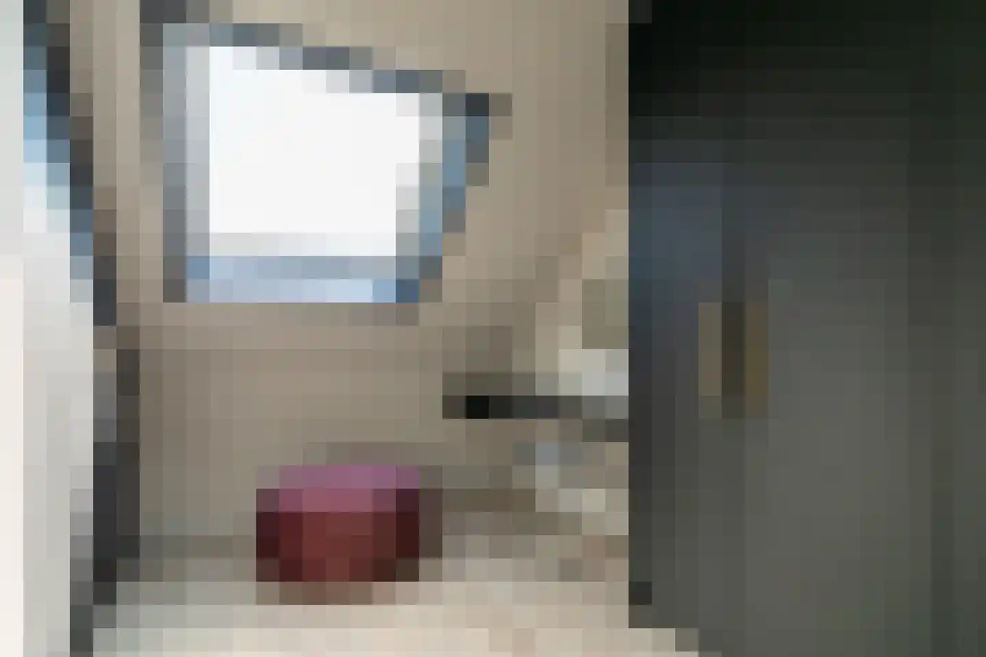 De Looijakker 58 Moergestel thumbnail 33