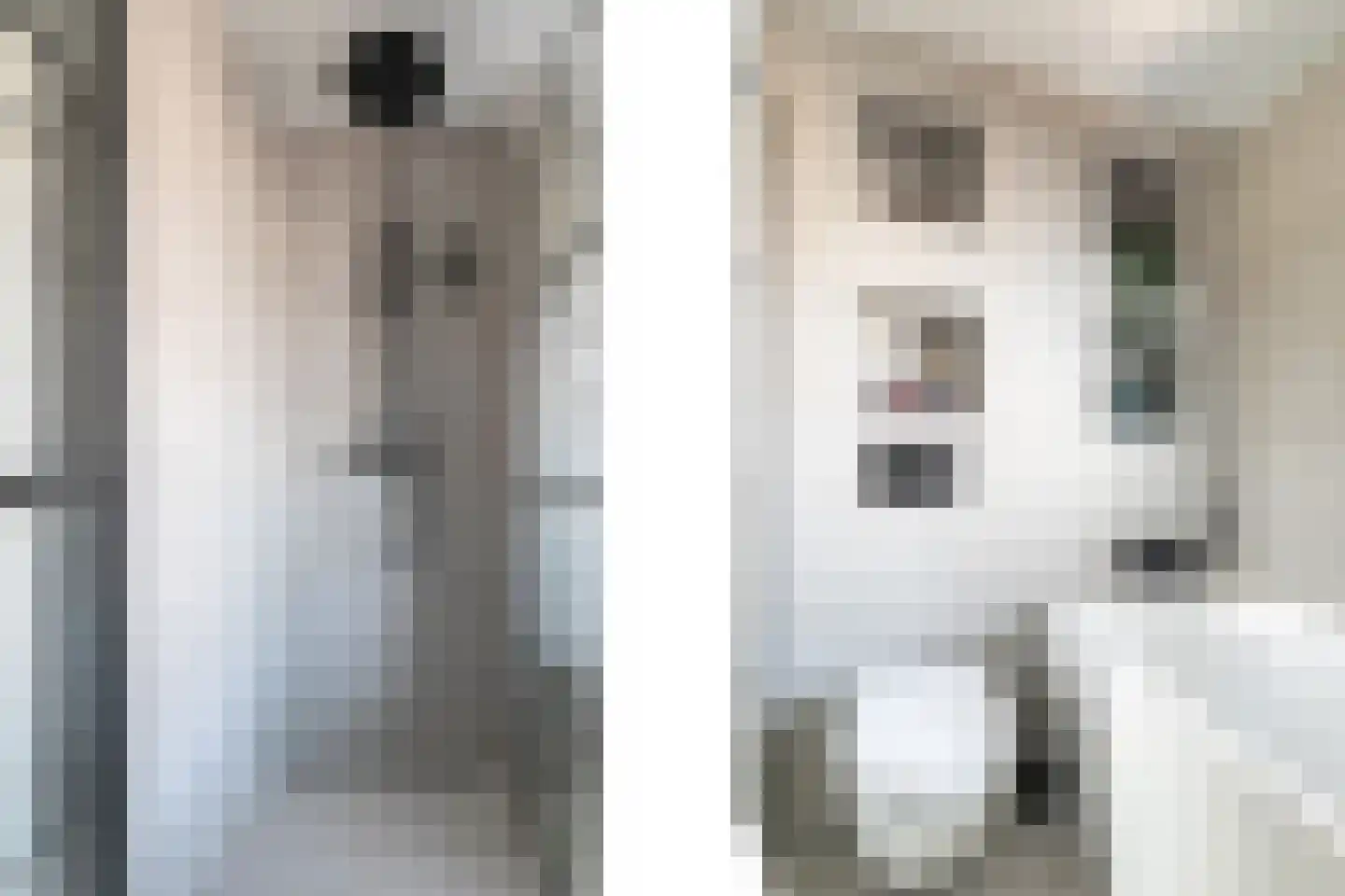 De Looijakker 58 Moergestel thumbnail 37