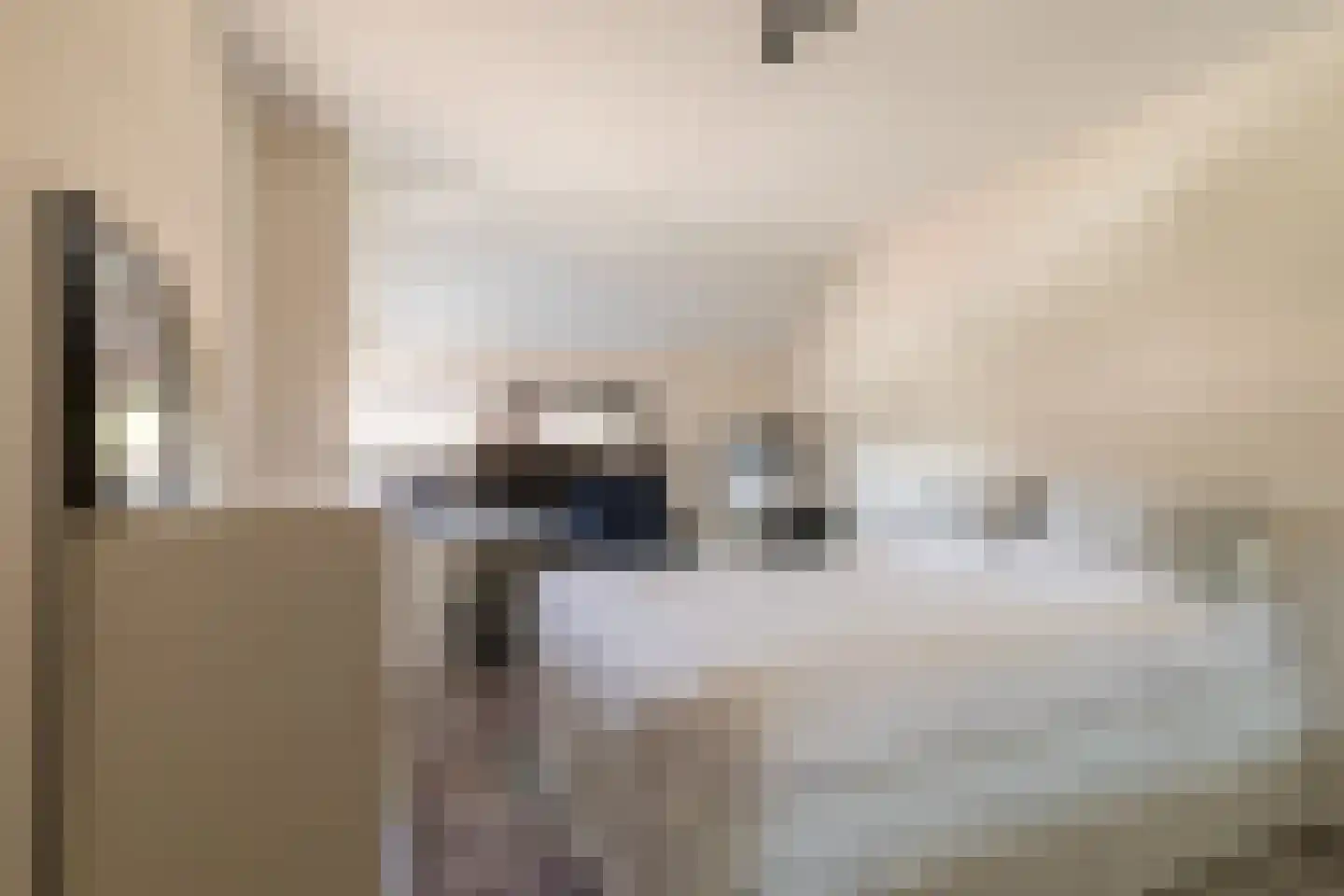De Looijakker 58 Moergestel thumbnail 38