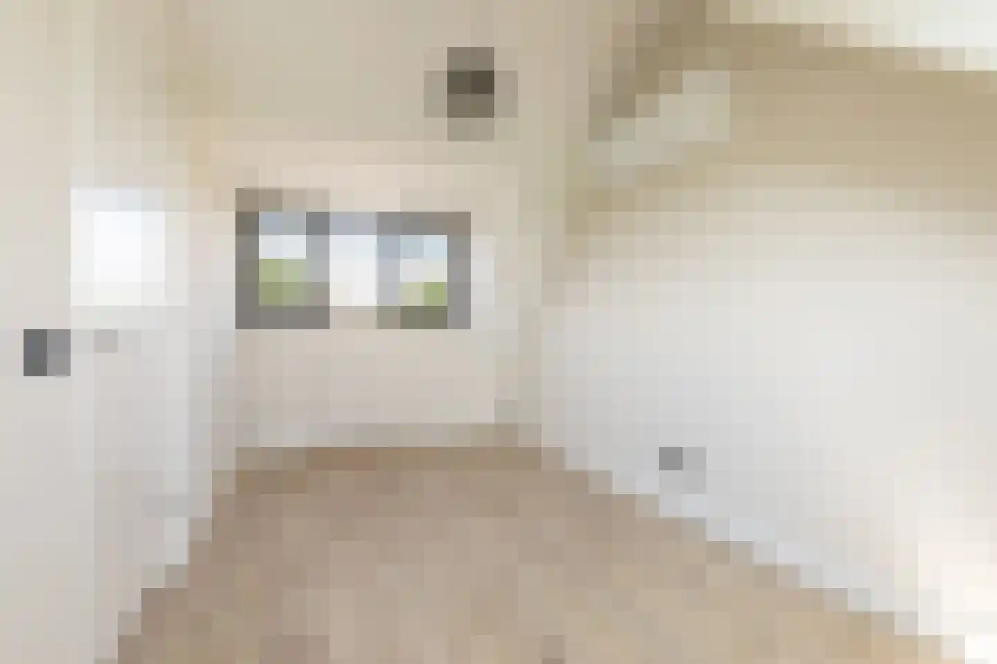 De Looijakker 58 Moergestel thumbnail 44