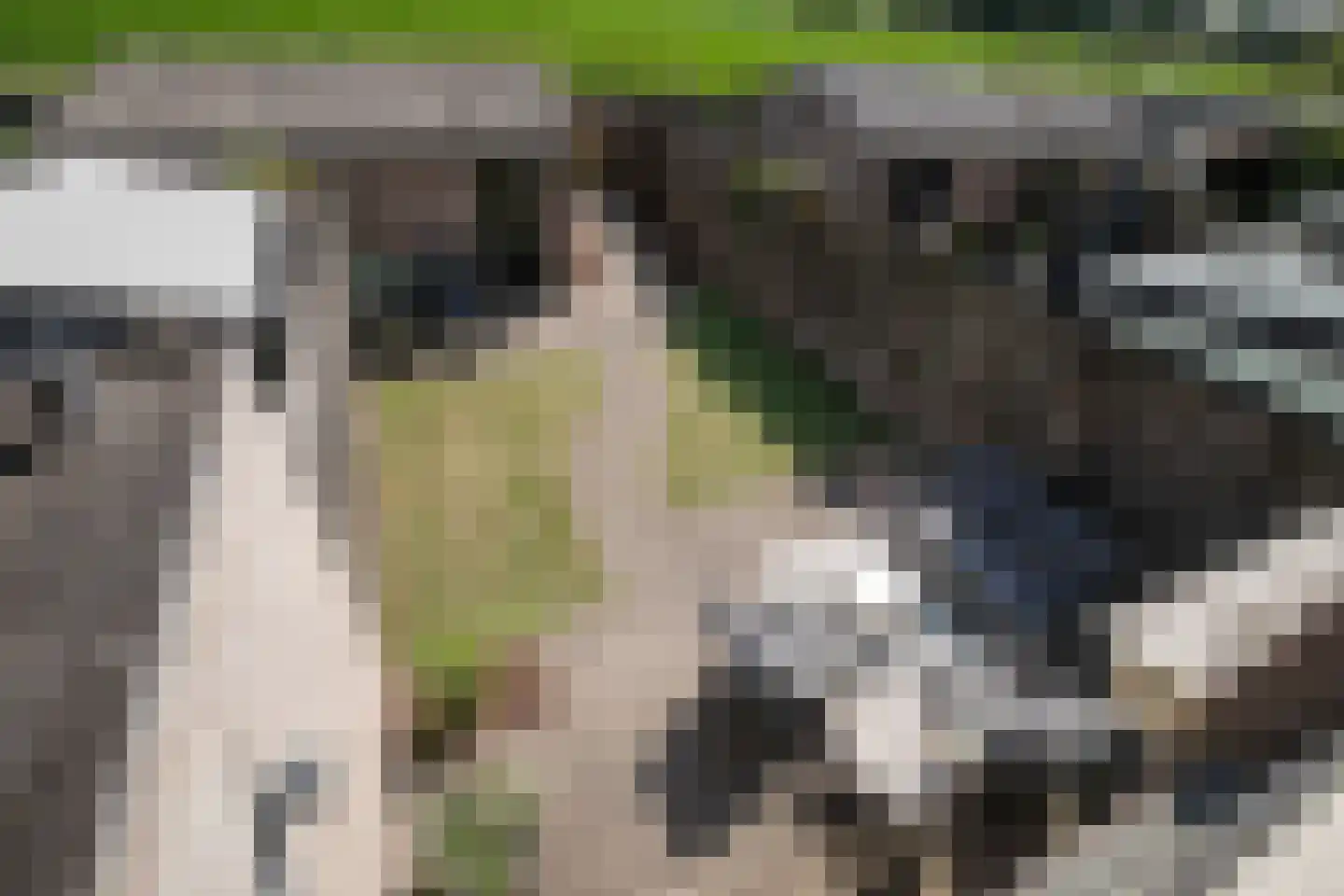 De Looijakker 58 Moergestel thumbnail 49