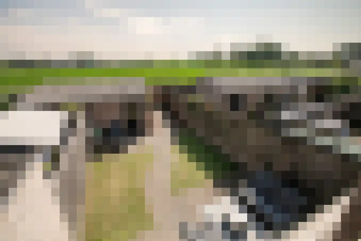 De Looijakker 58 Moergestel thumbnail 50