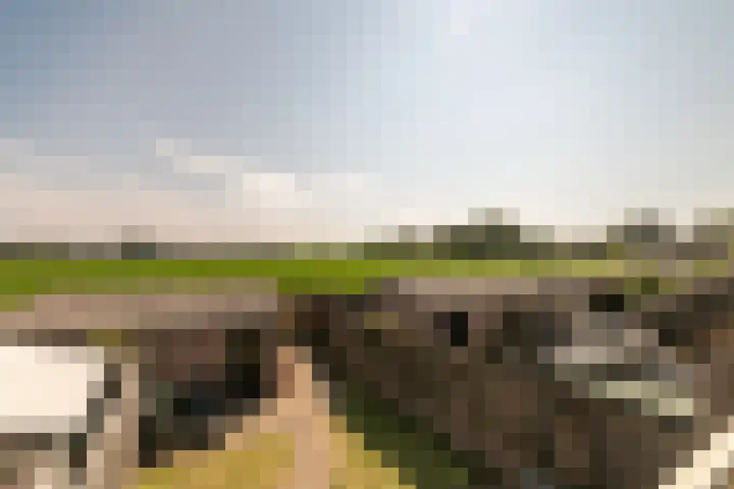 De Looijakker 58 Moergestel thumbnail 51