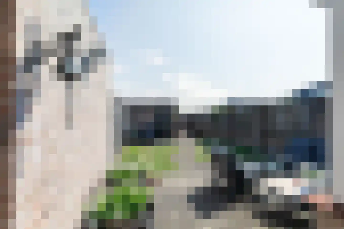 De Looijakker 58 Moergestel thumbnail 52