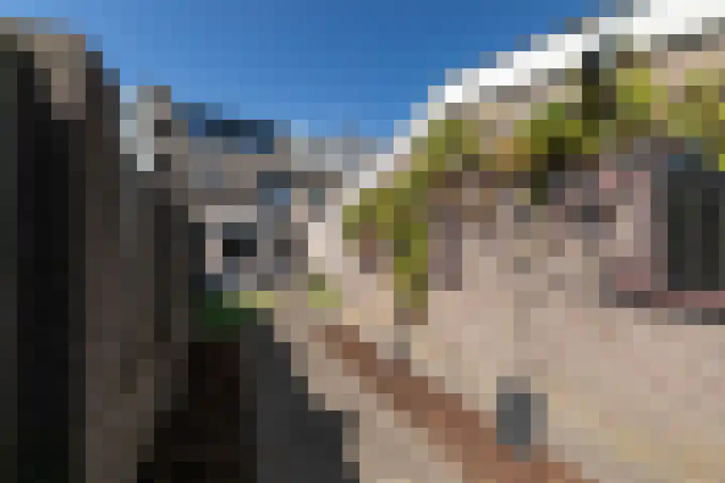 De Looijakker 58 Moergestel thumbnail 56