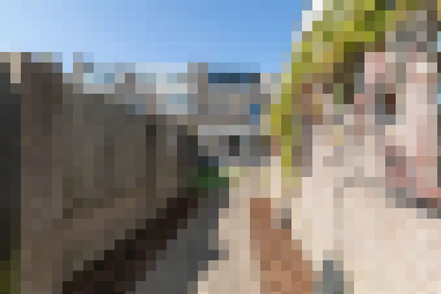 De Looijakker 58 Moergestel thumbnail 58
