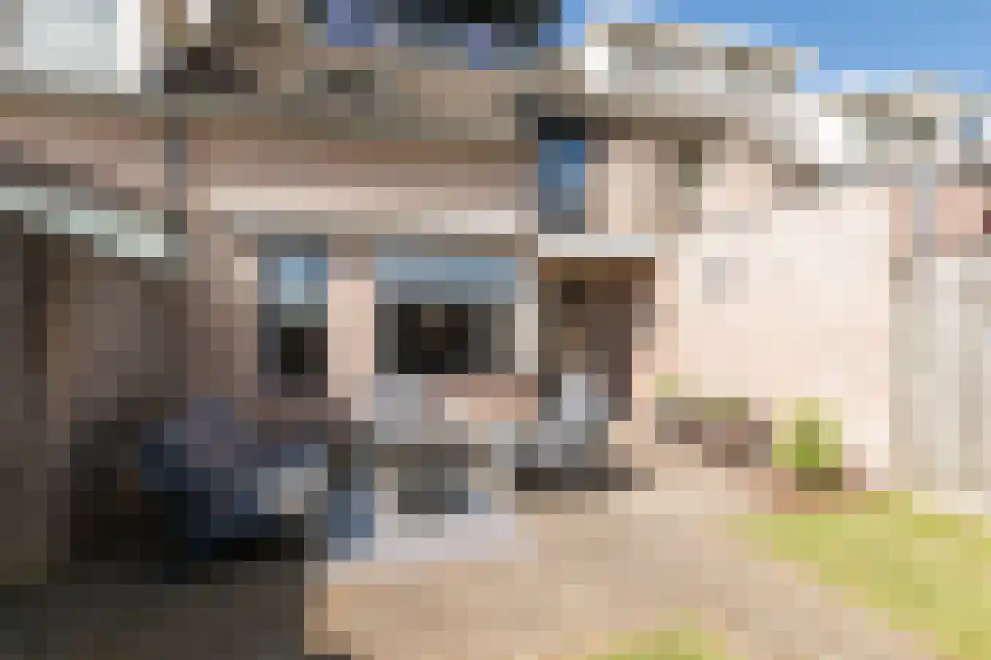 De Looijakker 58 Moergestel thumbnail 59