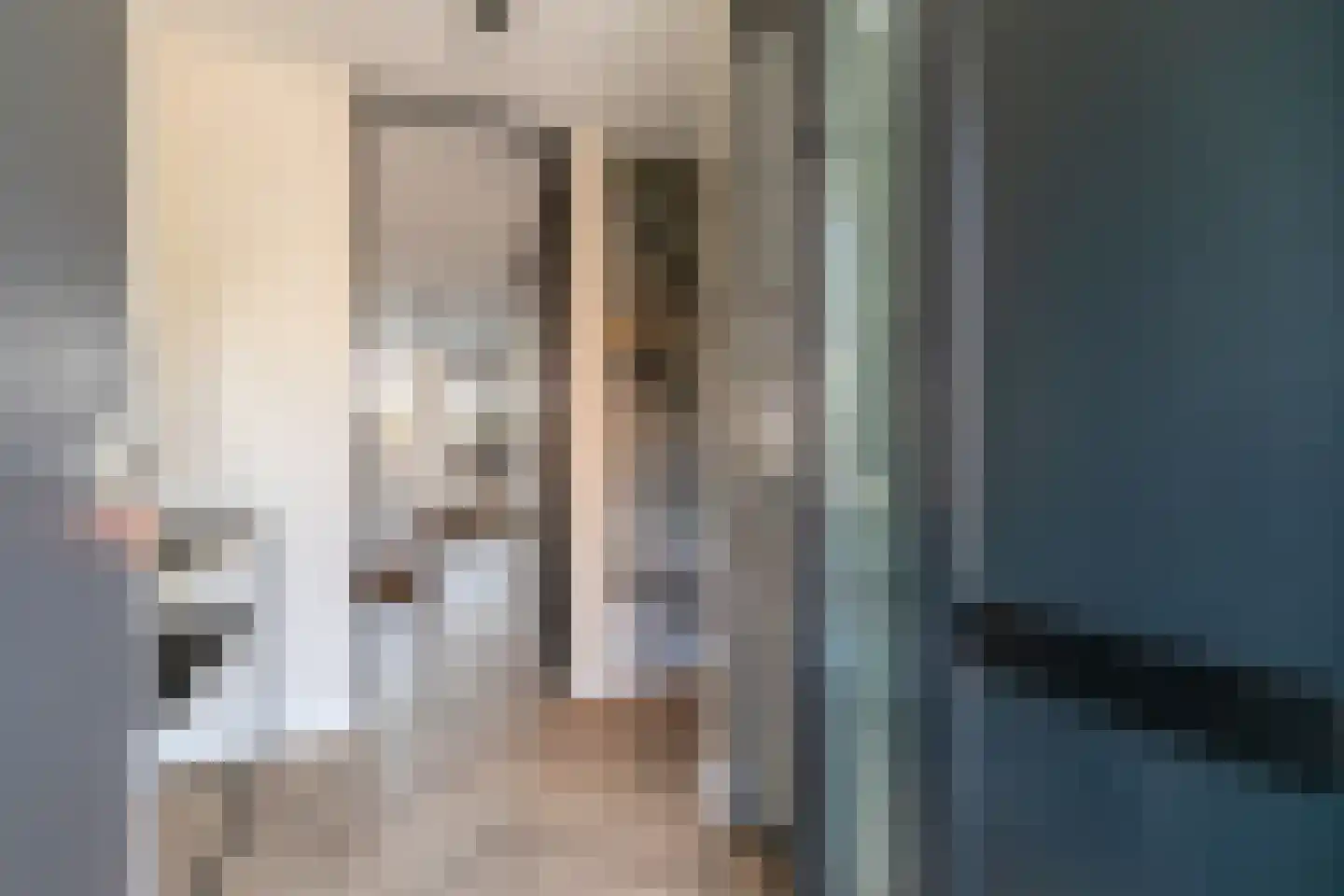 De Looijakker 58 Moergestel thumbnail 7