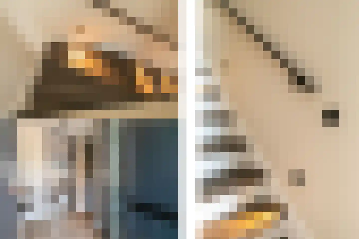 De Looijakker 58 Moergestel thumbnail 8