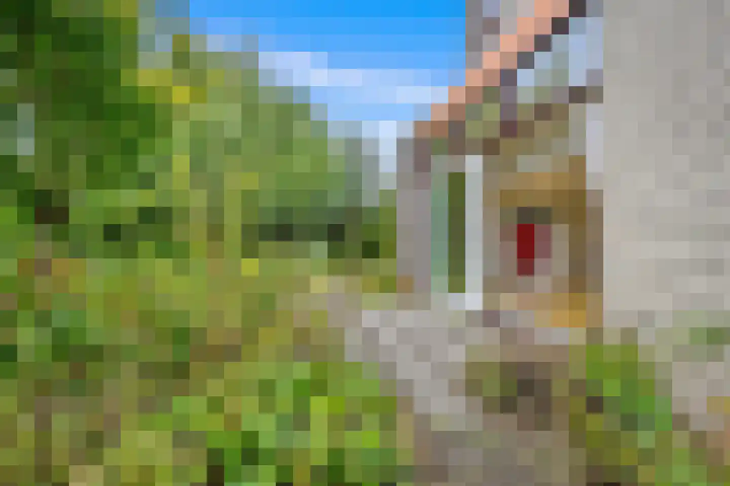 De Look 13 Den Hoorn thumbnail 19
