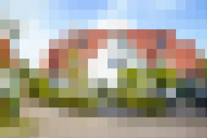 de Loonwerker 10 a Leende thumbnail 10