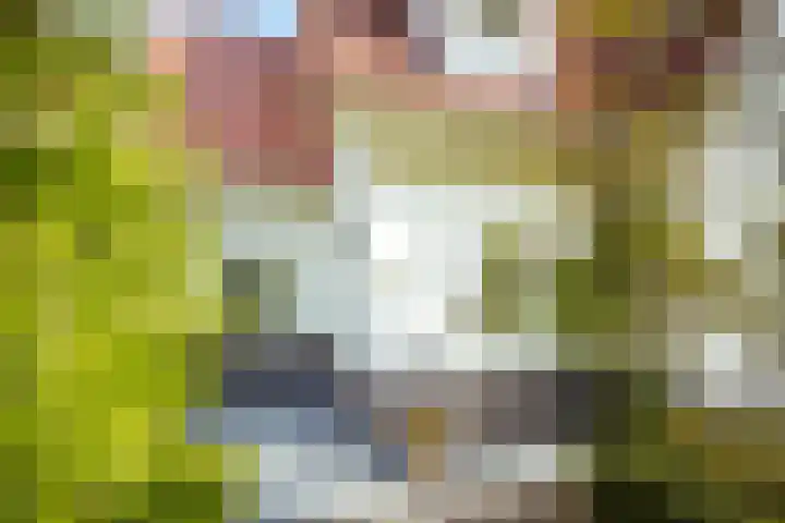 de Loonwerker 10 a Leende thumbnail 11