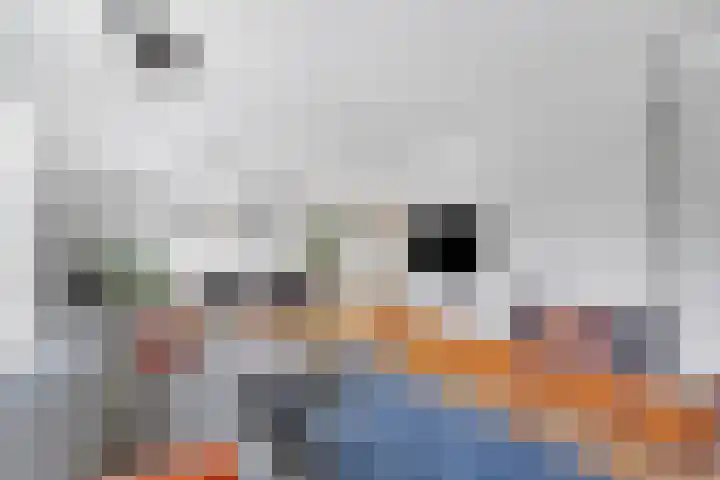 de Loonwerker 10 a Leende thumbnail 16