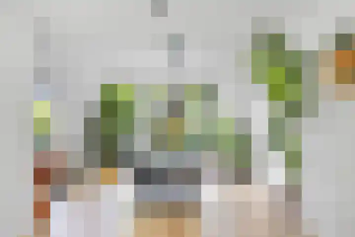 de Loonwerker 10 a Leende thumbnail 21