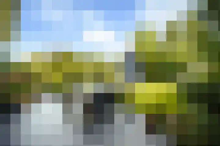 de Loonwerker 10 a Leende thumbnail 22