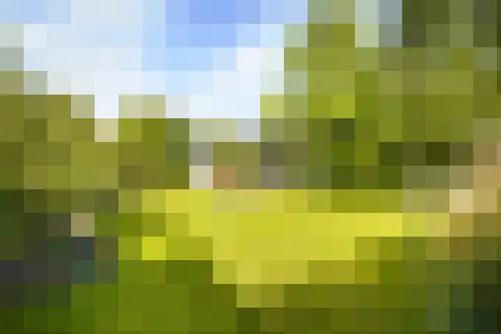 de Loonwerker 10 a Leende thumbnail 23