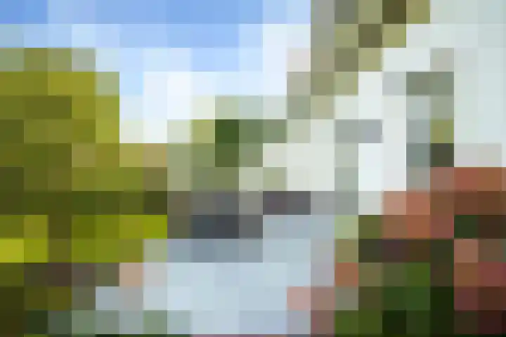 de Loonwerker 10 a Leende thumbnail 25