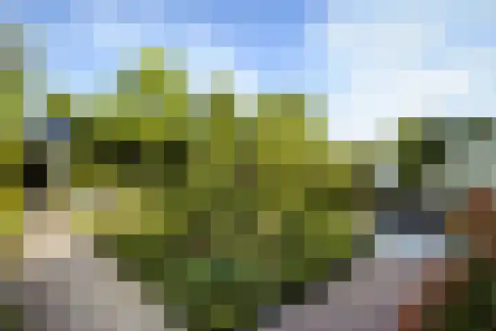 de Loonwerker 10 a Leende thumbnail 27