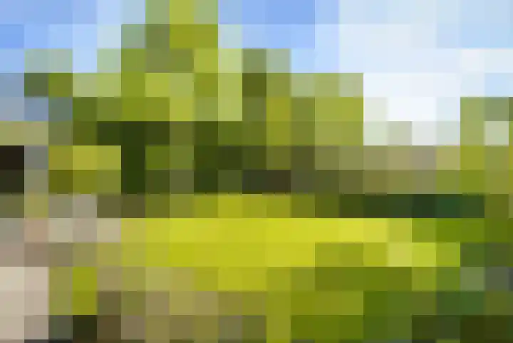 de Loonwerker 10 a Leende thumbnail 28