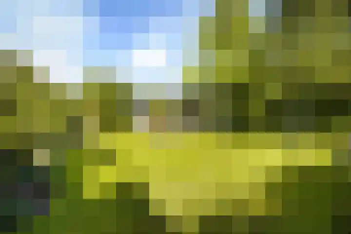 de Loonwerker 10 a Leende thumbnail 29