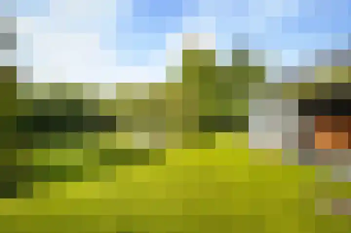 de Loonwerker 10 a Leende thumbnail 30