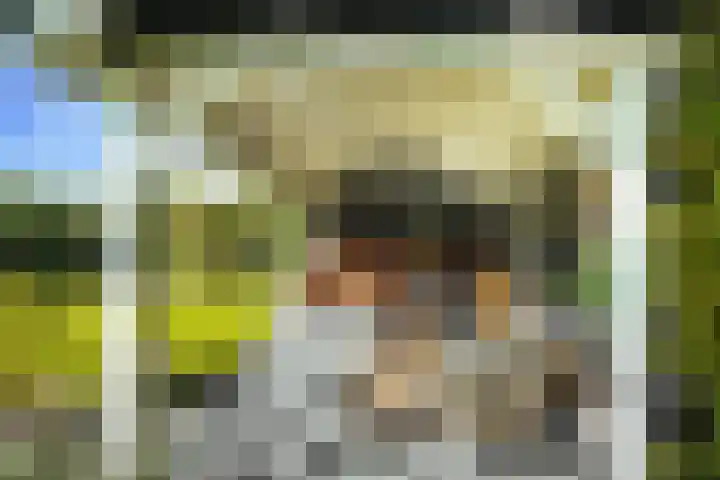 de Loonwerker 10 a Leende thumbnail 31