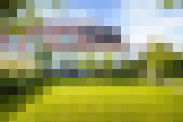 de Loonwerker 10 a Leende thumbnail 39