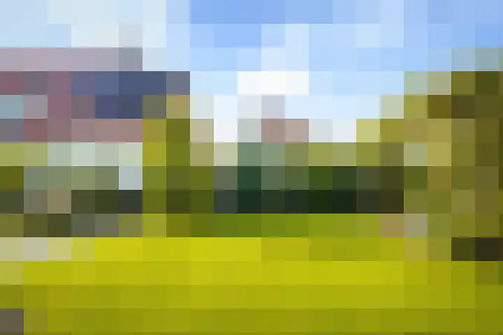de Loonwerker 10 a Leende thumbnail 40
