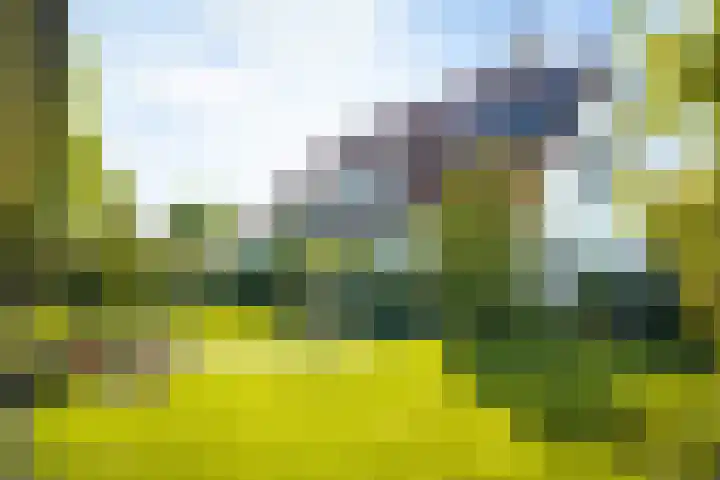 de Loonwerker 10 a Leende thumbnail 41