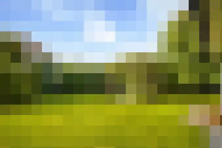 de Loonwerker 10 a Leende thumbnail 42