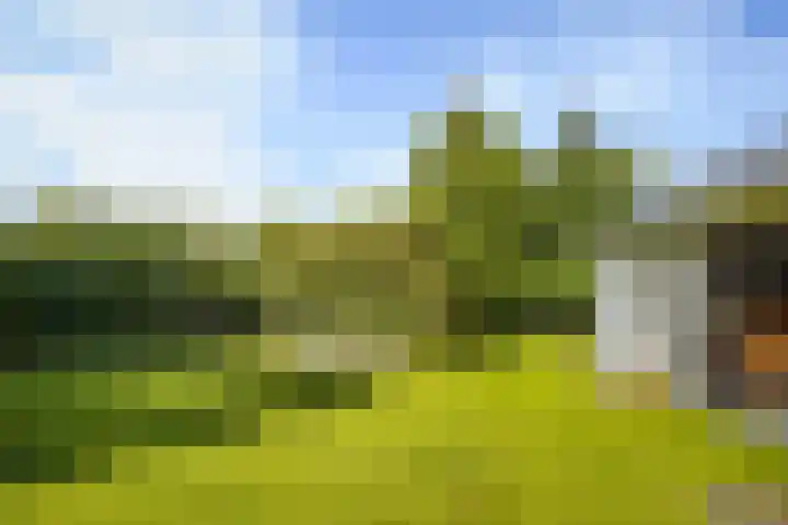 de Loonwerker 10 a Leende thumbnail 43