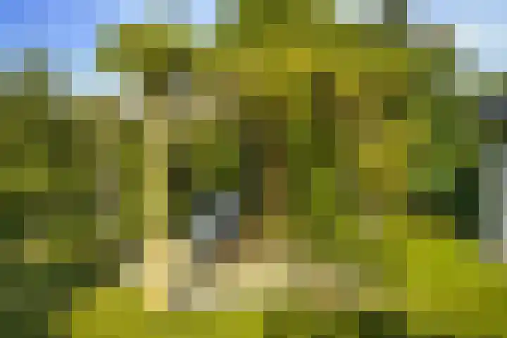 de Loonwerker 10 a Leende thumbnail 44