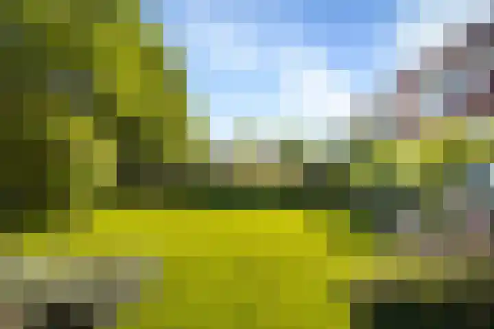 de Loonwerker 10 a Leende thumbnail 45