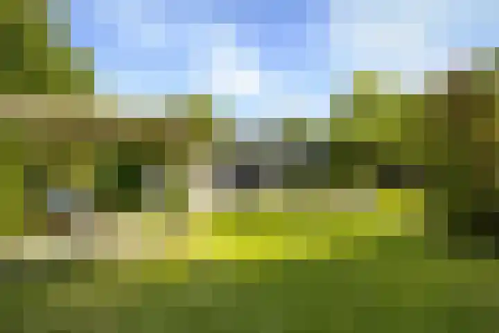 de Loonwerker 10 a Leende thumbnail 46