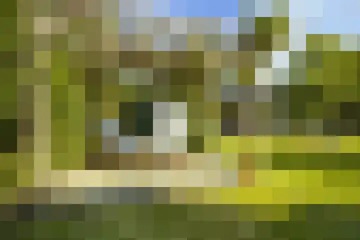 de Loonwerker 10 a Leende thumbnail 47