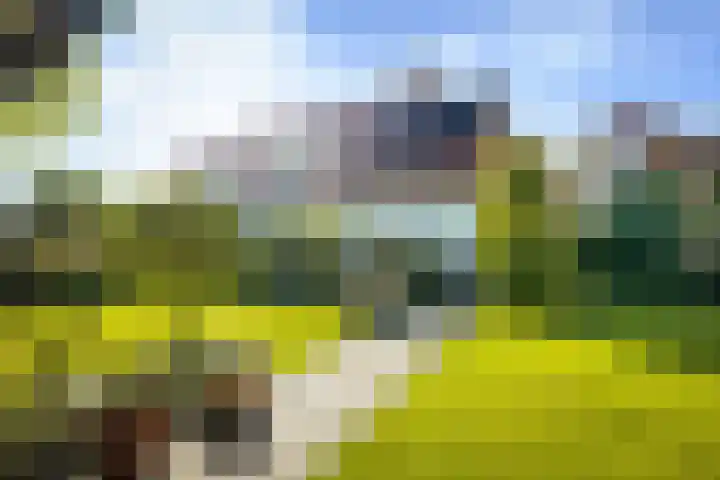 de Loonwerker 10 a Leende thumbnail 48