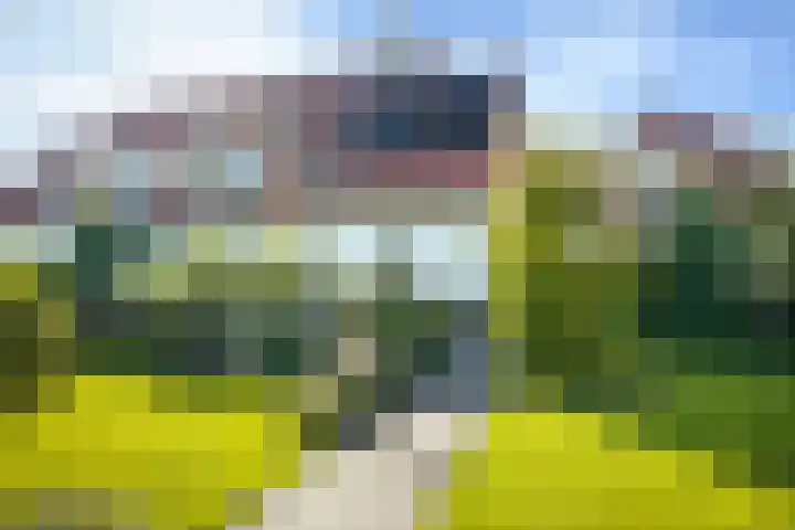 de Loonwerker 10 a Leende thumbnail 49