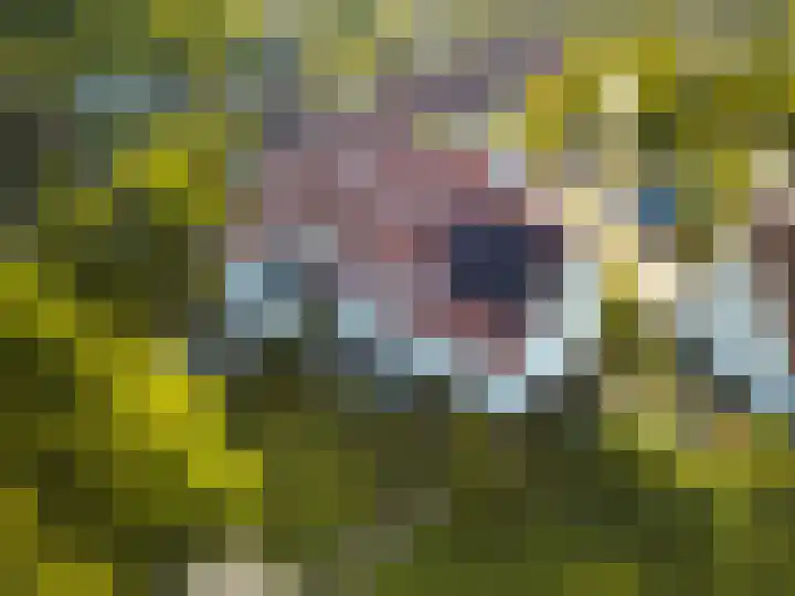 de Loonwerker 10 a Leende thumbnail 50