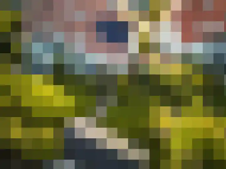 de Loonwerker 10 a Leende thumbnail 51