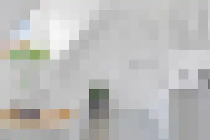 de Loonwerker 10 a Leende thumbnail 63
