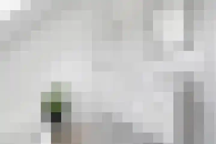 de Loonwerker 10 a Leende thumbnail 64