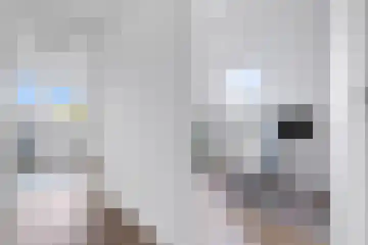 de Loonwerker 10 a Leende thumbnail 74