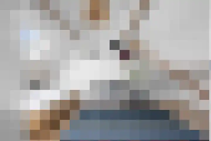 de Loonwerker 10 a Leende thumbnail 78