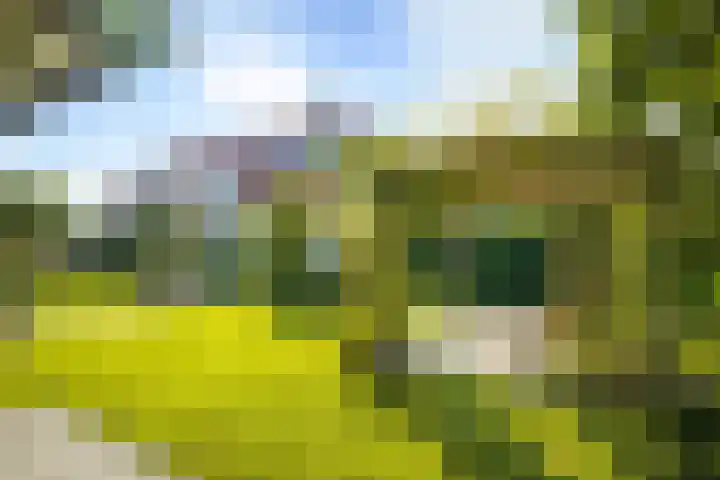 de Loonwerker 10 a Leende thumbnail 8