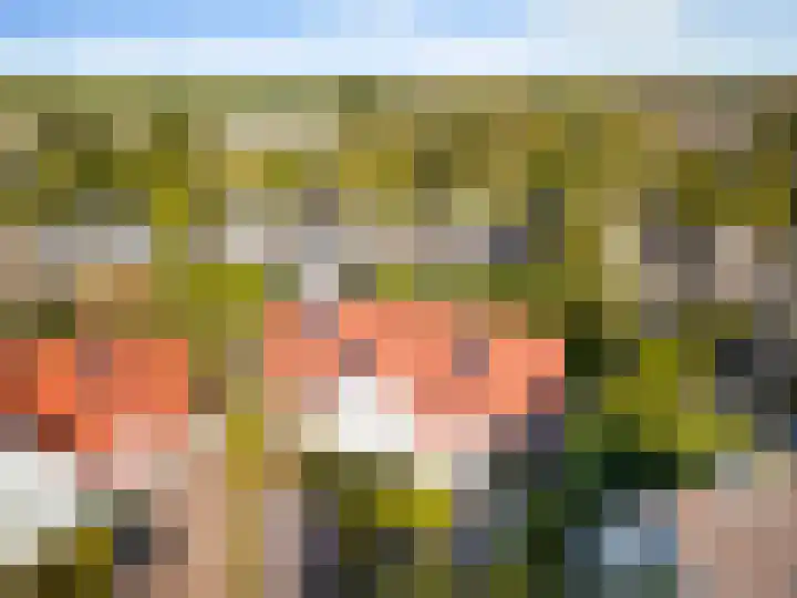 de Loonwerker 10 a Leende thumbnail 88