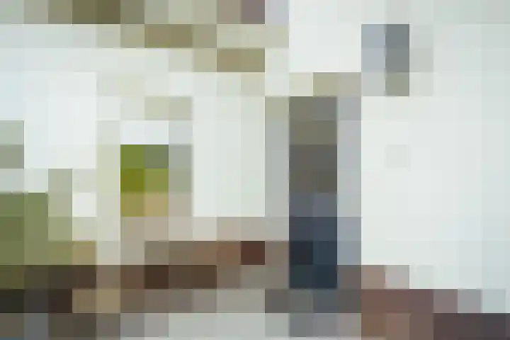 de Loonwerker 10 a Leende thumbnail 89