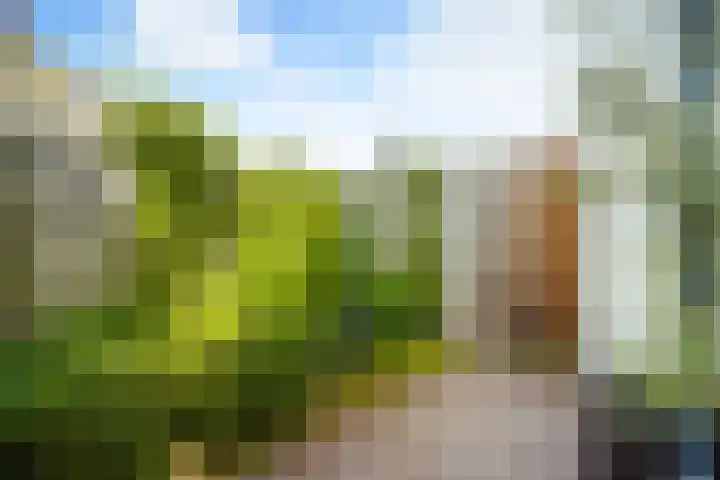 de Loonwerker 10 a Leende thumbnail 91