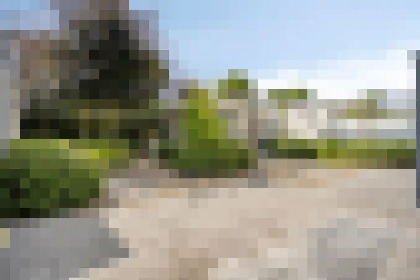 de Loonwerker 5 Leende thumbnail 13