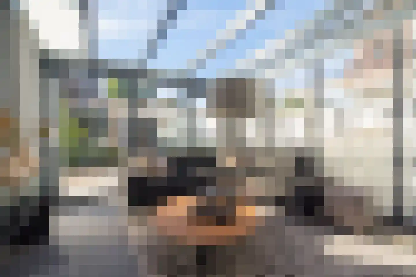 de Loonwerker 5 Leende thumbnail 16