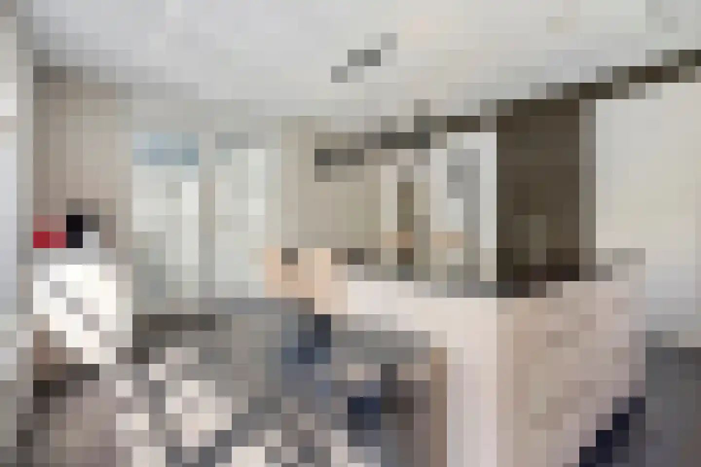 de Loonwerker 5 Leende thumbnail 25